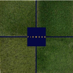 Artificial Grass