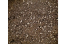 40kg 20mm Ballast/Plant Mix