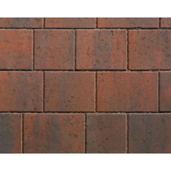 50mm Modena Brindle Pack