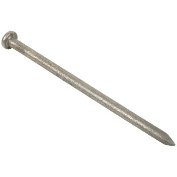 2.5kg Bag Galv Rd Wire Nail 100x4.50