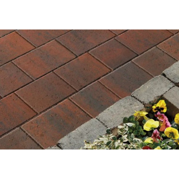 50mm Modena Brindle Pack