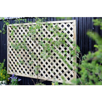 Elite Square Lattice 1.2m Green