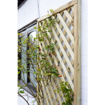 Elite Square Lattice 0.9m Green