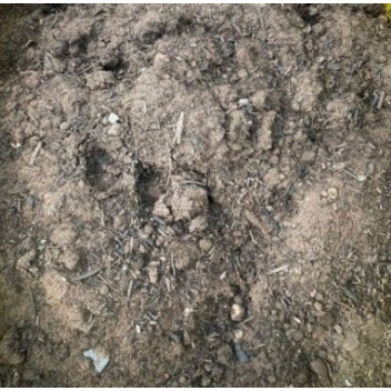 20kg Top Soil