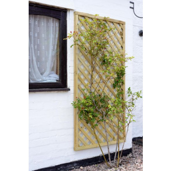 Elite Square Lattice 0.9m Green